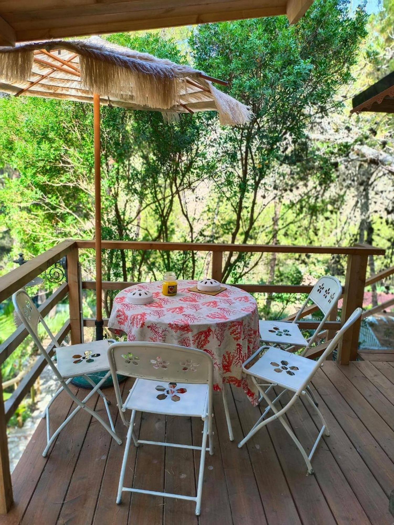 Wild Wild Nest Sperlongaresort Exterior photo